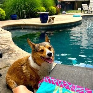 Make US an offer!!!!